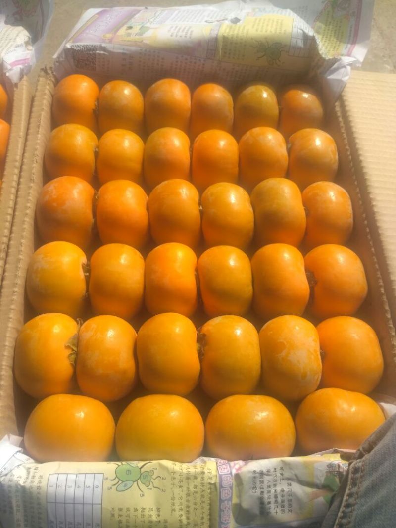 柿饼1~2两