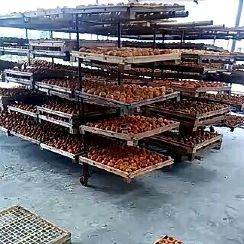 柿饼2.5两以上