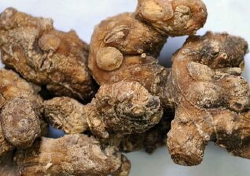 黄精种子