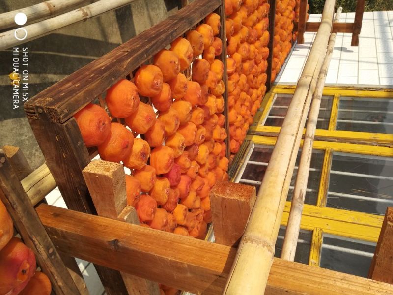 柿饼1~2两