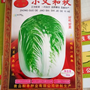 白菜种子