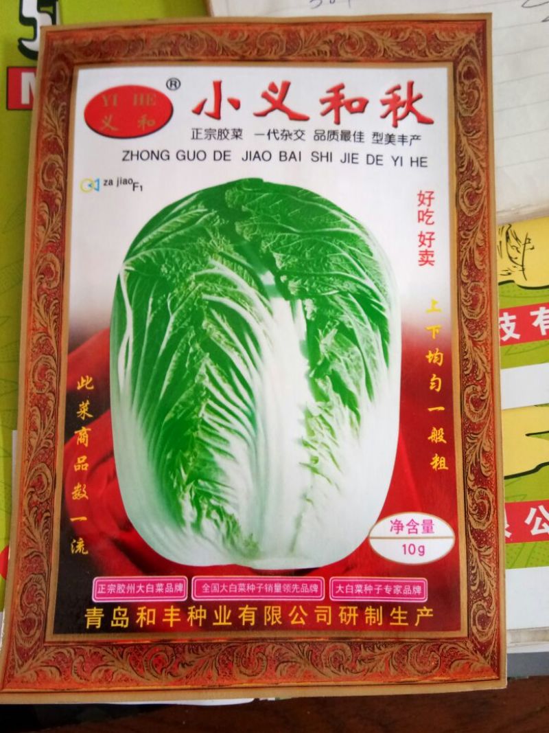 白菜种子
