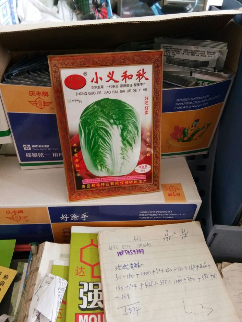 白菜种子
