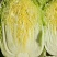 白菜种子