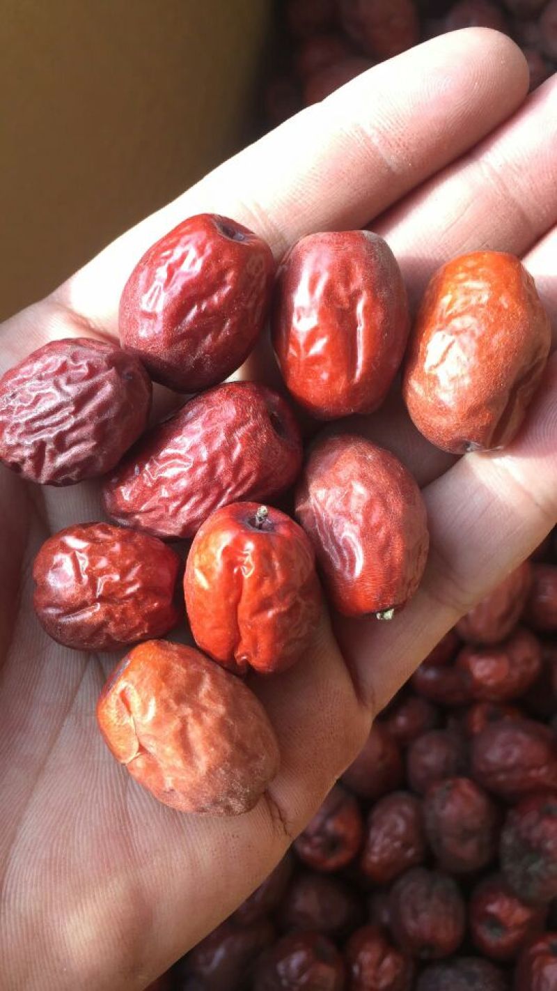 干红枣片金丝枣干