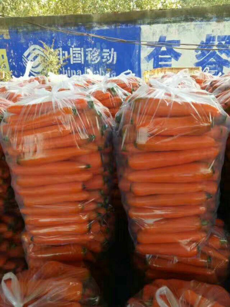 三红胡萝卜您的满意，我的追求