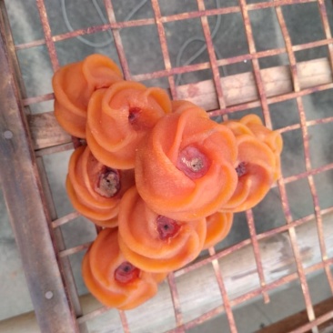 柿饼1~2两