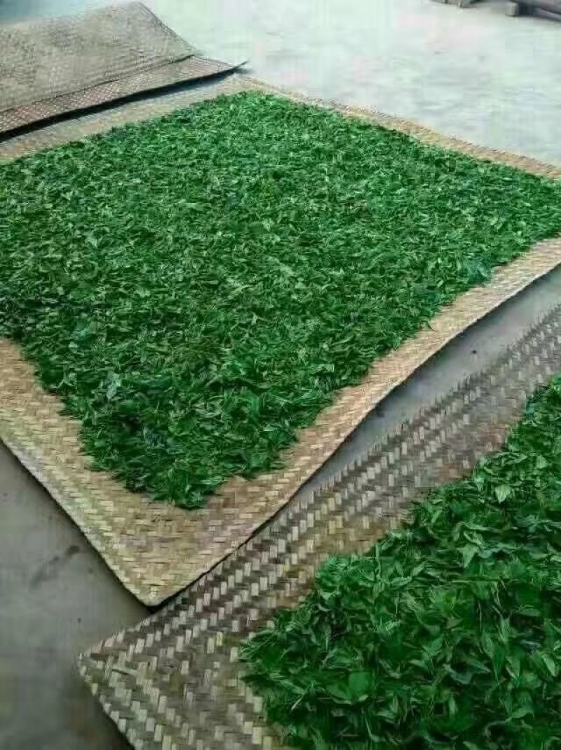 普洱茶一级