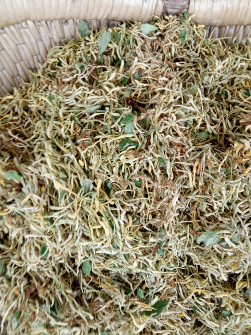 金银花1米以下