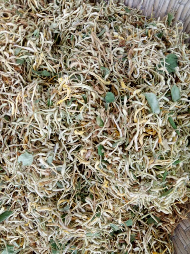 金银花1米以下