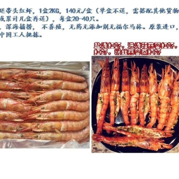 阿根廷红虾L1