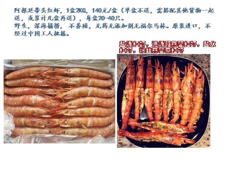 阿根廷红虾L1