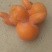 柿饼2~2.5两