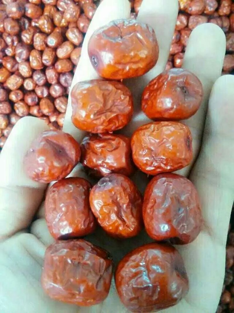 精品临泽红枣一级干枣，产地批发一手货源。