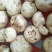 豆腐湿豆腐