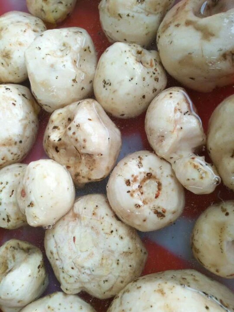 豆腐湿豆腐
