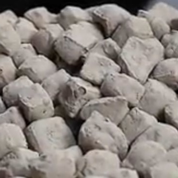 灰豆腐湿豆腐