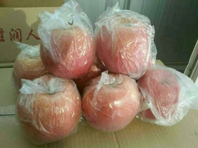 红富士苹果批发陕西红富士苹果产地批发，大荔红富士苹果基地