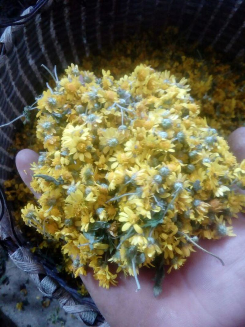 野菊花袋装
