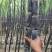 黑皮甘蔗6~8斤5~6cm2~2.5米