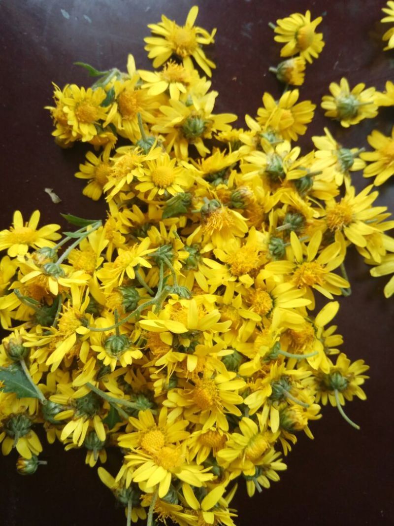 野菊花袋装