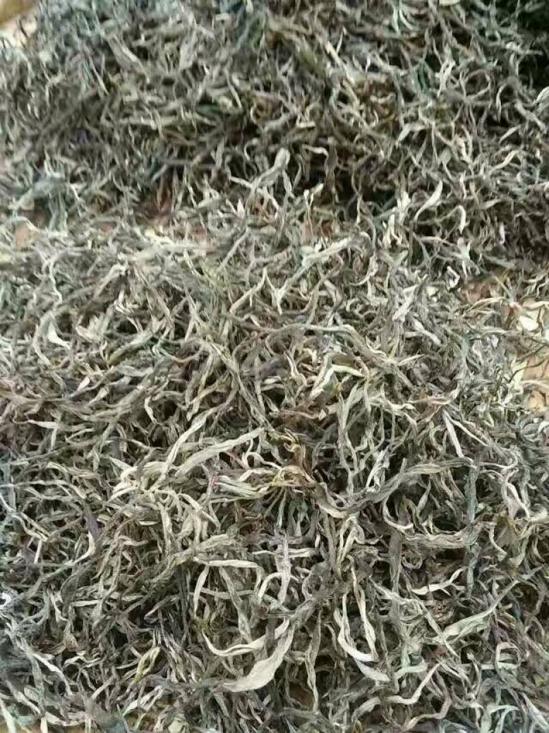 古树普洱茶特级