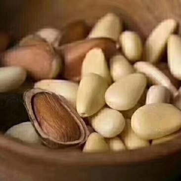 松子特级