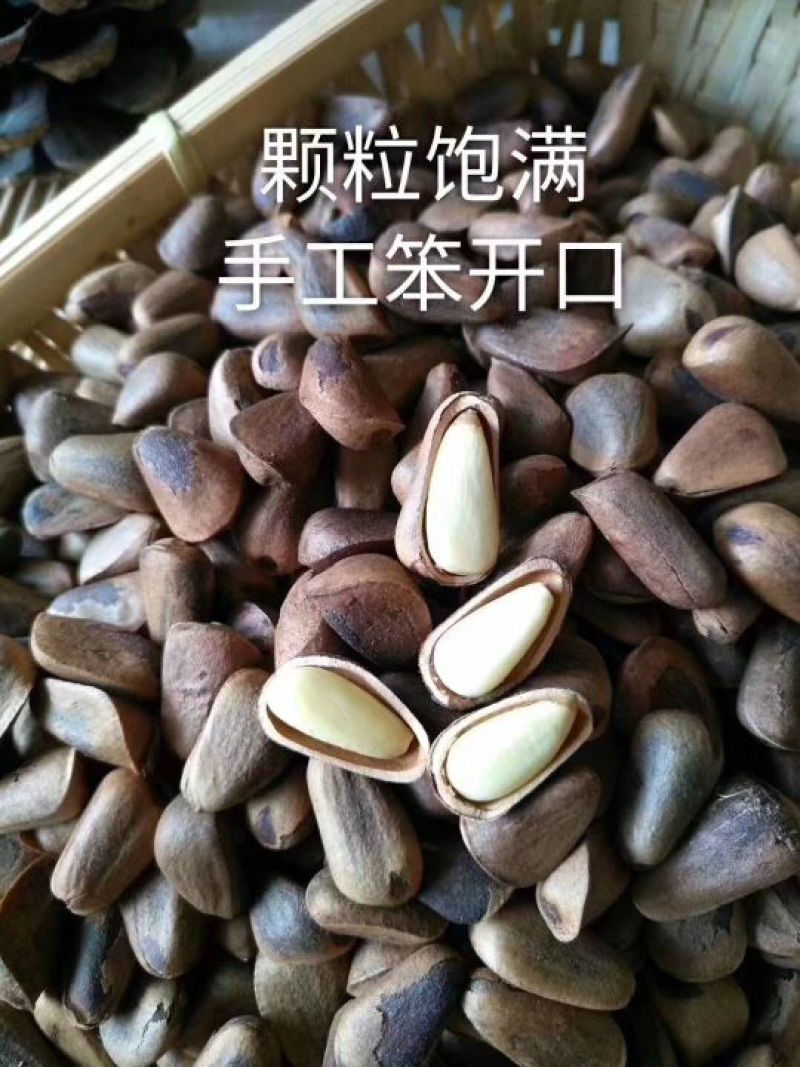 松子特级