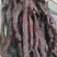 牛肉干黄牛肉鲜肉