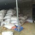 黄粉虫虫粪禽畜粪便25kg(袋装)