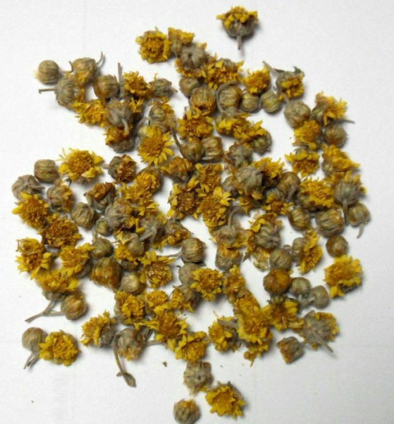 野菊花散装