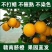赣南脐橙75~80mm
