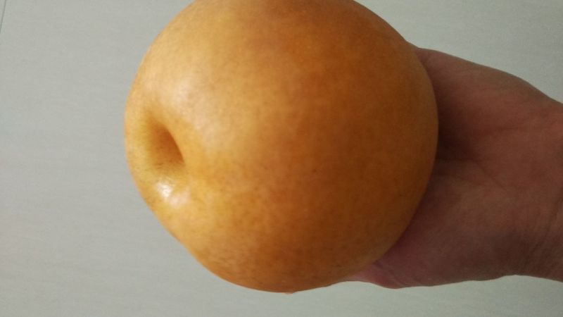 富硒梨纸箱600g以上