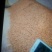 虾子0.5~1cm