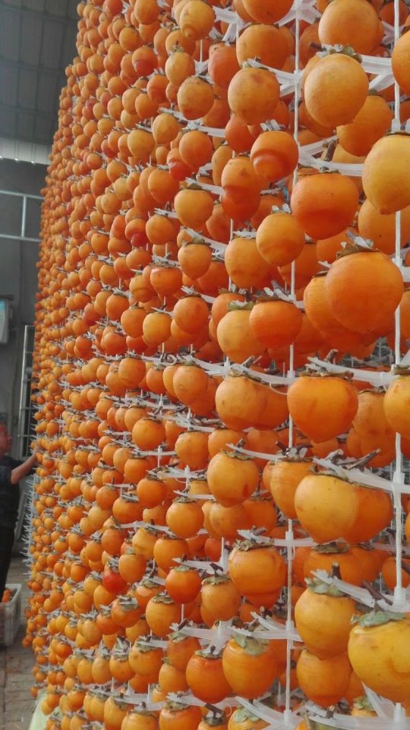 柿饼一斤12-15个通货