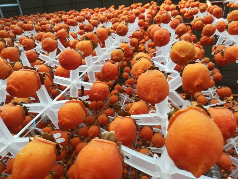 柿饼一斤12-15个通货