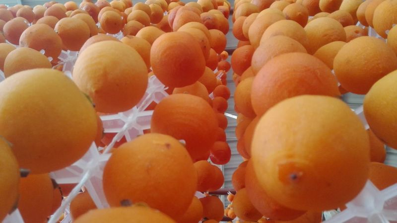 柿饼一斤12-15个通货