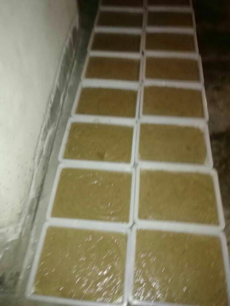 豆腐湿豆腐