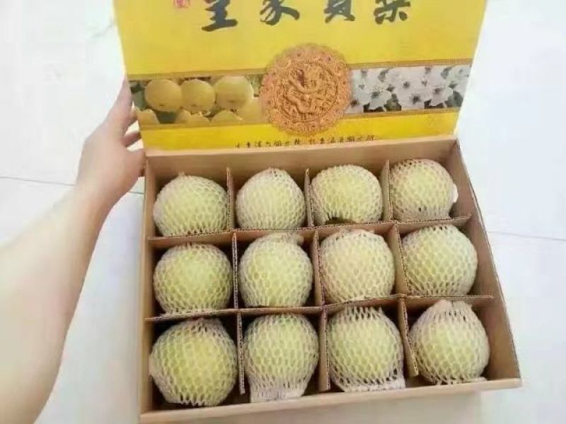 酥梨十斤装，送礼佳品