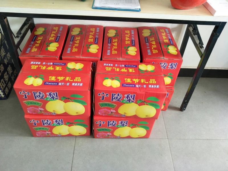 酥梨十斤装，送礼佳品