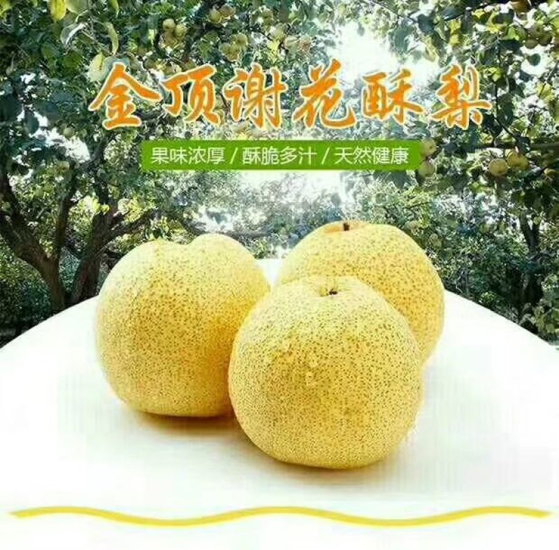 酥梨十斤装，送礼佳品