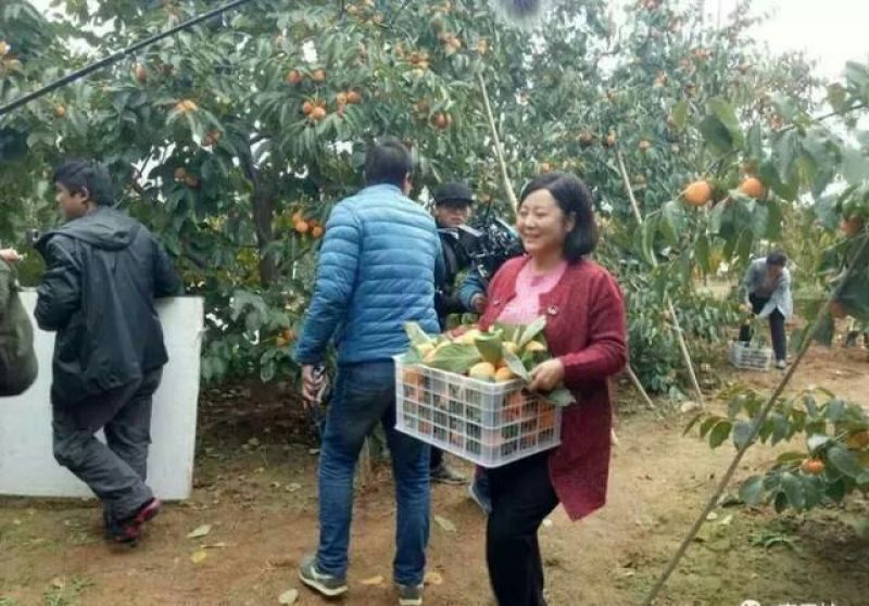 柿饼2~2.5两