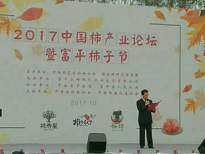 柿饼1~2两