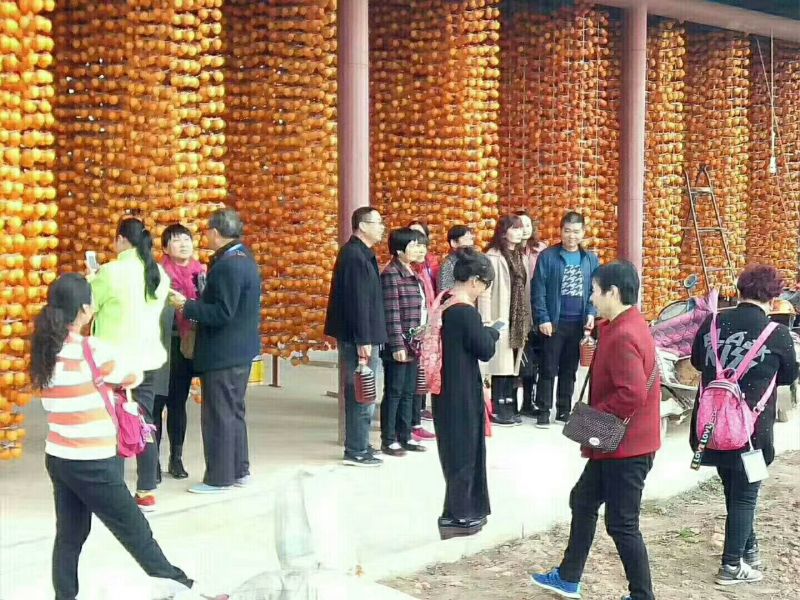 柿饼1~2两
