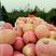 红富士苹果产地大量上市！长年供应！欢迎咨询！