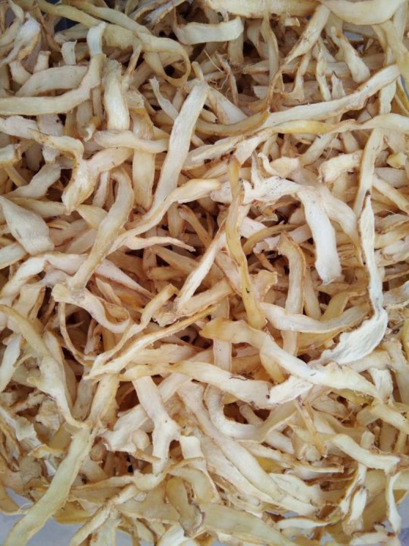 玉竹干