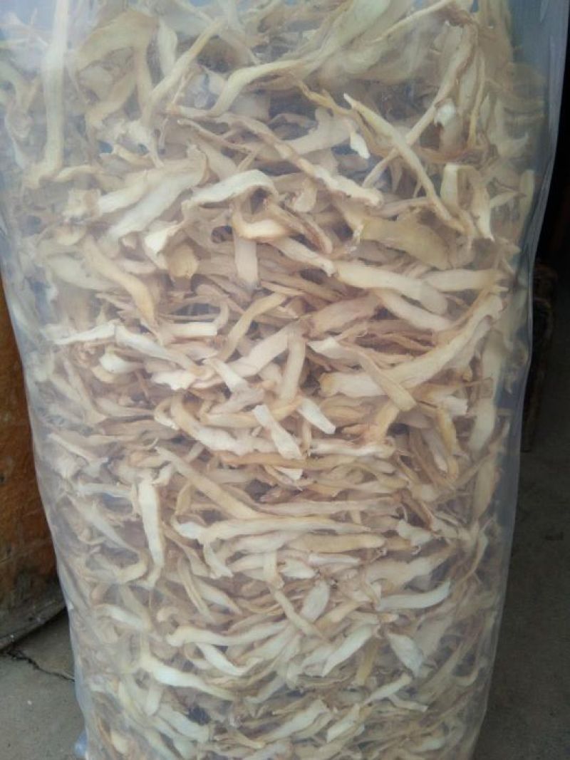 玉竹干