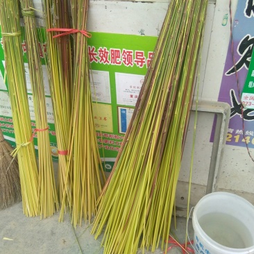 芦苇杆子