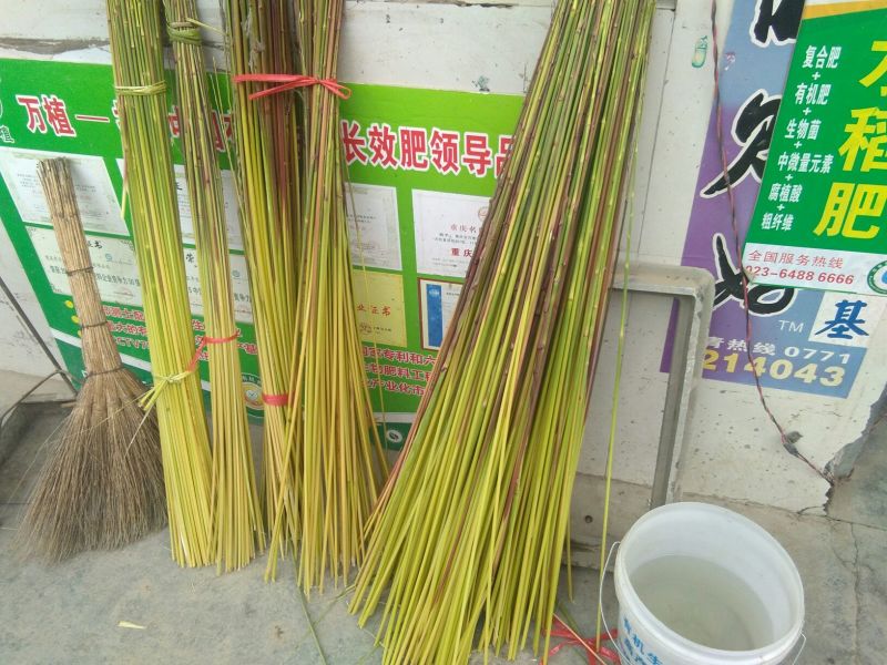 芦苇杆子
