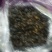 九香虫统货